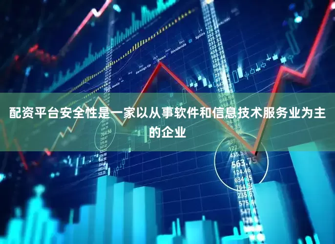 配资平台安全性是一家以从事软件和信息技术服务业为主的企业